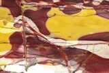 Polished Mookaite Jasper Slab - Australia #258197-1